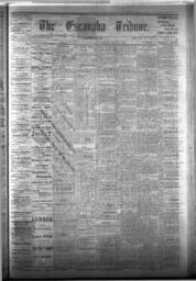 The Escanaba Tribune, 1876-03-25