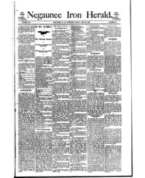 Negaunee Iron Herald, 1894-06-29