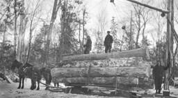 Loading log sleigh