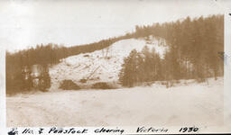 Victoria Powerhouse and Penstock Clearing