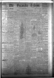 The Escanaba Tribune, 1873-05-03