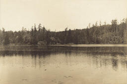 Inland lake with lily pads