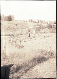 (132-021) Boys Working in Farm Field