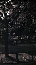 (005-011) Woman and Dog Sitting on Lawn