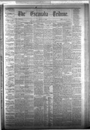 The Escanaba Tribune, 1875-05-15