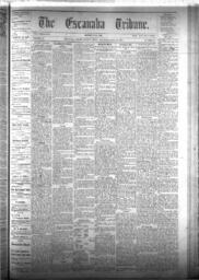 The Escanaba Tribune, 1875-07-10