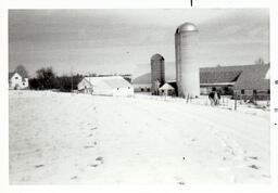 Lone Elm Farm