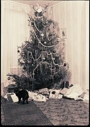 (156-026) Wagar Christmas Tree and Cat