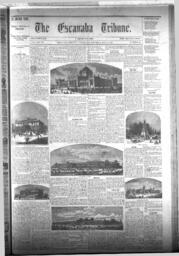 The Escanaba Tribune, 1876-05-20