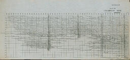 Champion Mine Longitudinal Section