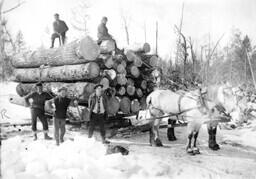 Load of logs