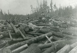 Log jam near Quinnesec Falls