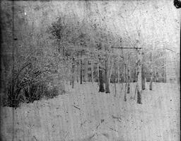 (416-02) Outside winter scenes