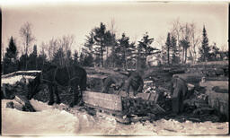 Lumber Cart Pulled by Horse