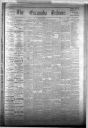 The Escanaba Tribune, 1876-06-17