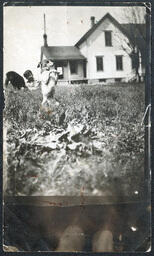 Boy and Two Dogs