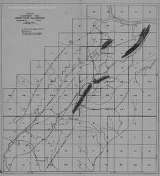 Section Map of Adams Township Mines