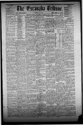 The Escanaba Tribune, 1872-05-04