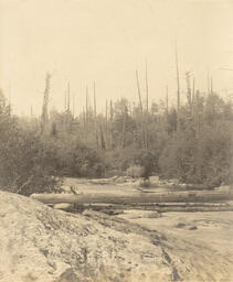 River in the Upper Peninsula (1 of 6)