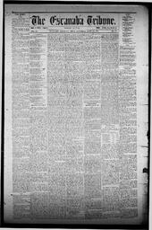 The Escanaba Tribune, 1872-06-22