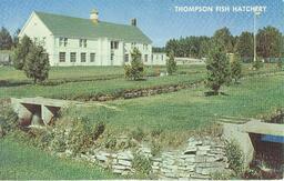 Thompson Fish Hatchery Postcard (2 of 2)