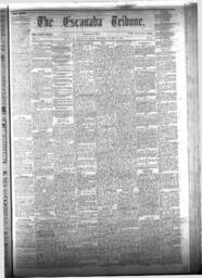 The Escanaba Tribune, 1874-03-14