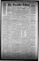 The Escanaba Tribune, 1871-07-01