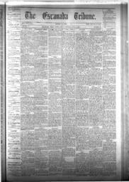 The Escanaba Tribune, 1875-07-03