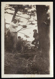 Three Men in Woods