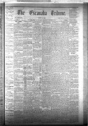 The Escanaba Tribune, 1875-01-16