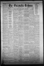 The Escanaba Tribune, 1872-06-15