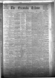 The Escanaba Tribune, 1874-06-20