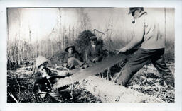 Young Tom Ross and Father Sawing Log