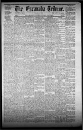 The Escanaba Tribune, 1871-07-15