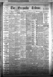 The Escanaba Tribune, 1877-03-17