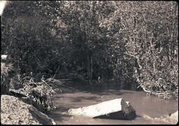 (135-008) Debris in the River after Flood (1 of 2)