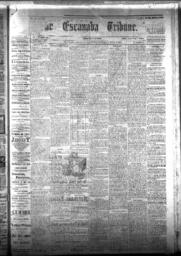 The Escanaba Tribune, 1877-07-07