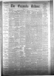 The Escanaba Tribune, 1875-06-12