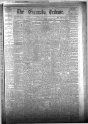 The Escanaba Tribune, 1873-10-04