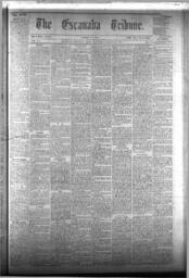 The Escanaba Tribune, 1874-01-10