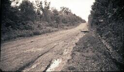 (024-016) Close-up of Mild Damage on M-64 after Flood