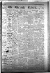 The Escanaba Tribune, 1876-03-11