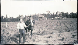 Man, Horse, and Field