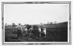 Children Doing Farmwork