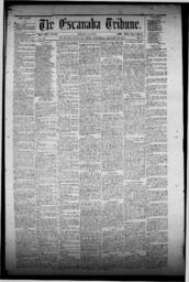 The Escanaba Tribune, 1872-01-20