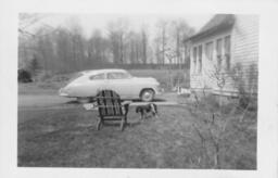 Dog and a Car