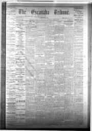 The Escanaba Tribune, 1876-04-29