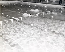 Swimming Team: Swimmer Alone in Pool Doing Crawl