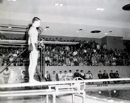 Swimming Team: Diver Facing Forwards on Springboard