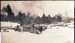 Bags and Pigs Near Railroad